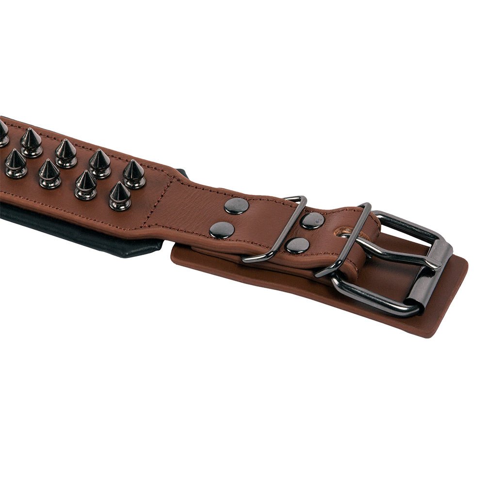 Leather Studded Dog Collar - Large - ALPHADOGDISTRIBUTION