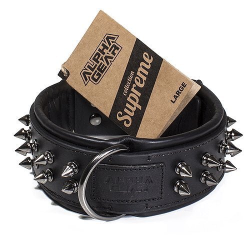 Leather Studded Dog Collar - Large - ALPHADOGDISTRIBUTION