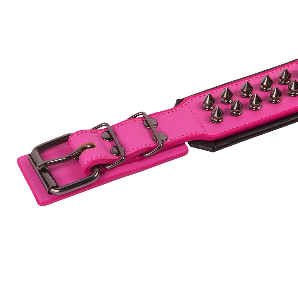 Leather Studded Dog Collar - Large - ALPHADOGDISTRIBUTION