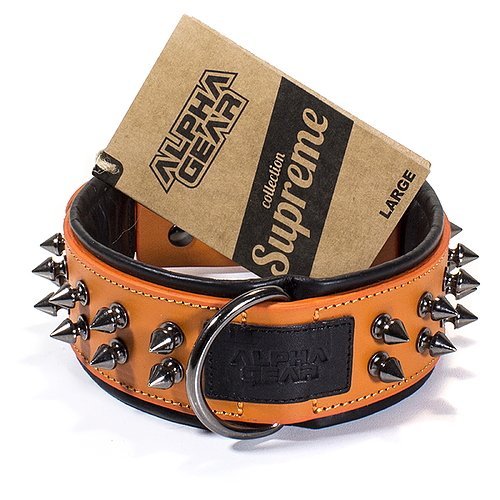 Leather Studded Dog Collar - Large - ALPHADOGDISTRIBUTION