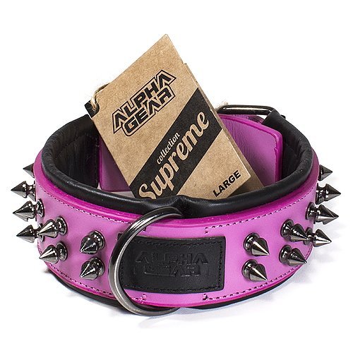 Leather Studded Dog Collar - Large - ALPHADOGDISTRIBUTION