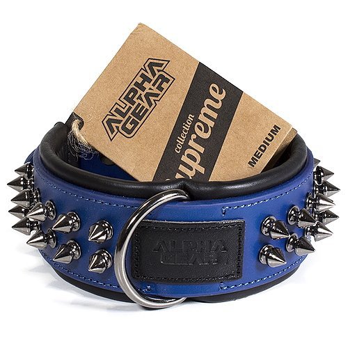 Leather Studded Dog Collar - Medium - ALPHADOGDISTRIBUTION