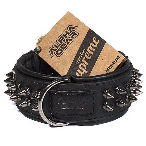 Leather Studded Dog Collar - Medium - ALPHADOGDISTRIBUTION