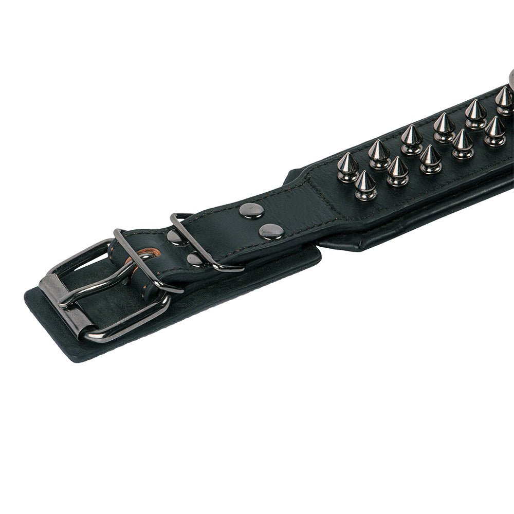 Leather Studded Dog Collar - Medium - ALPHADOGDISTRIBUTION