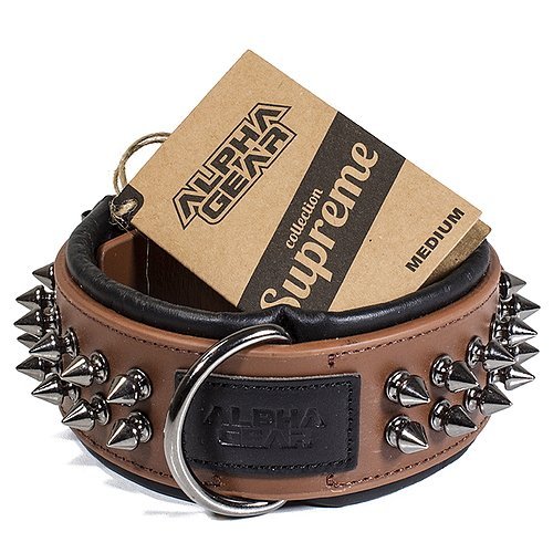 Leather Studded Dog Collar - Medium - ALPHADOGDISTRIBUTION