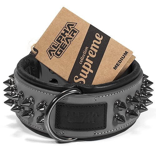 Leather Studded Dog Collar - Medium - ALPHADOGDISTRIBUTION