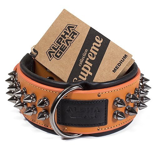 Leather Studded Dog Collar - Medium - ALPHADOGDISTRIBUTION