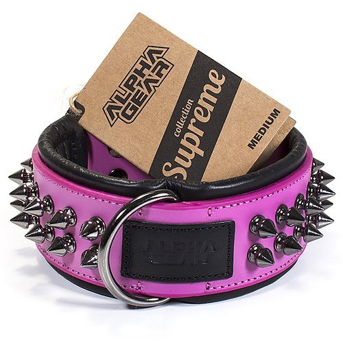 Leather Studded Dog Collar - Medium - ALPHADOGDISTRIBUTION