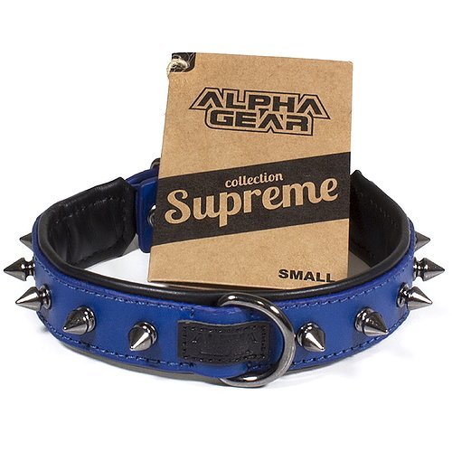 Leather Studded Dog Collar - Small - ALPHADOGDISTRIBUTION