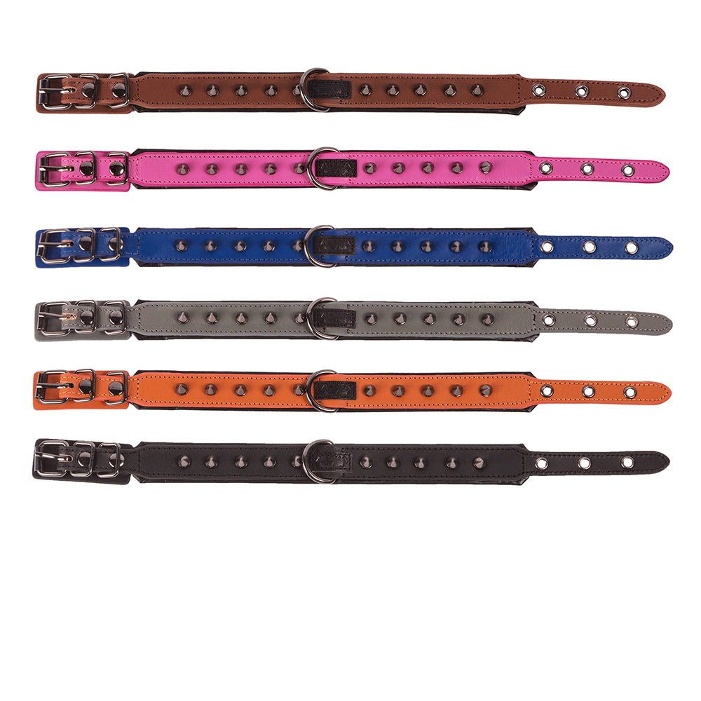 Leather Studded Dog Collar - Small - ALPHADOGDISTRIBUTION