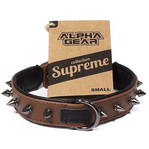 Leather Studded Dog Collar - Small - ALPHADOGDISTRIBUTION