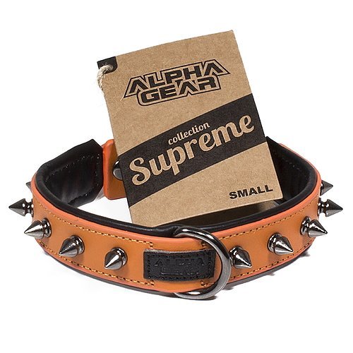 Leather Studded Dog Collar - Small - ALPHADOGDISTRIBUTION