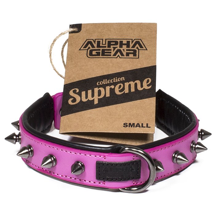 Leather Studded Dog Collar - Small - ALPHADOGDISTRIBUTION