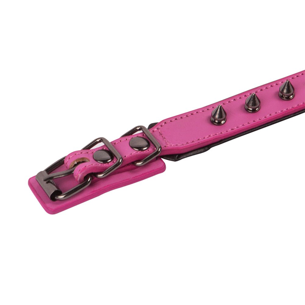 Leather Studded Dog Collar - Small - ALPHADOGDISTRIBUTION