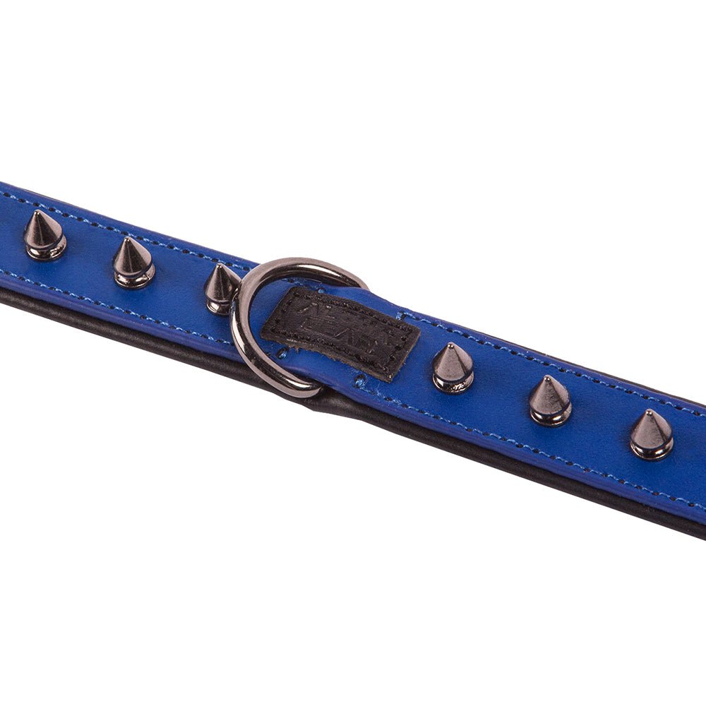 Leather Studded Dog Collar - Small - ALPHADOGDISTRIBUTION