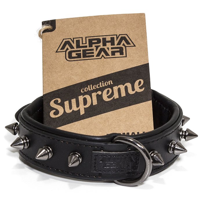 Leather Studded Dog Collar - XS - ALPHADOGDISTRIBUTION