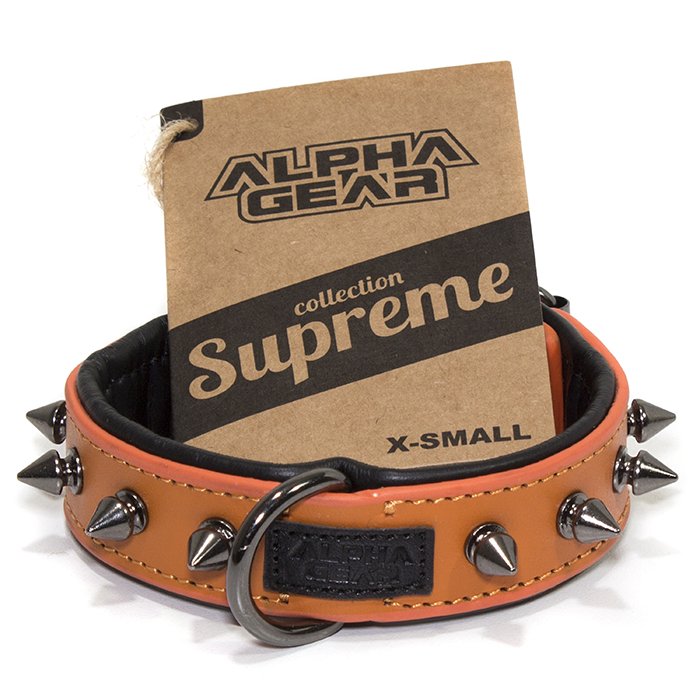 Leather Studded Dog Collar - XS - ALPHADOGDISTRIBUTION