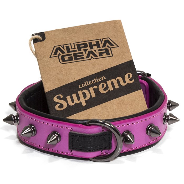 Leather Studded Dog Collar - XS - ALPHADOGDISTRIBUTION