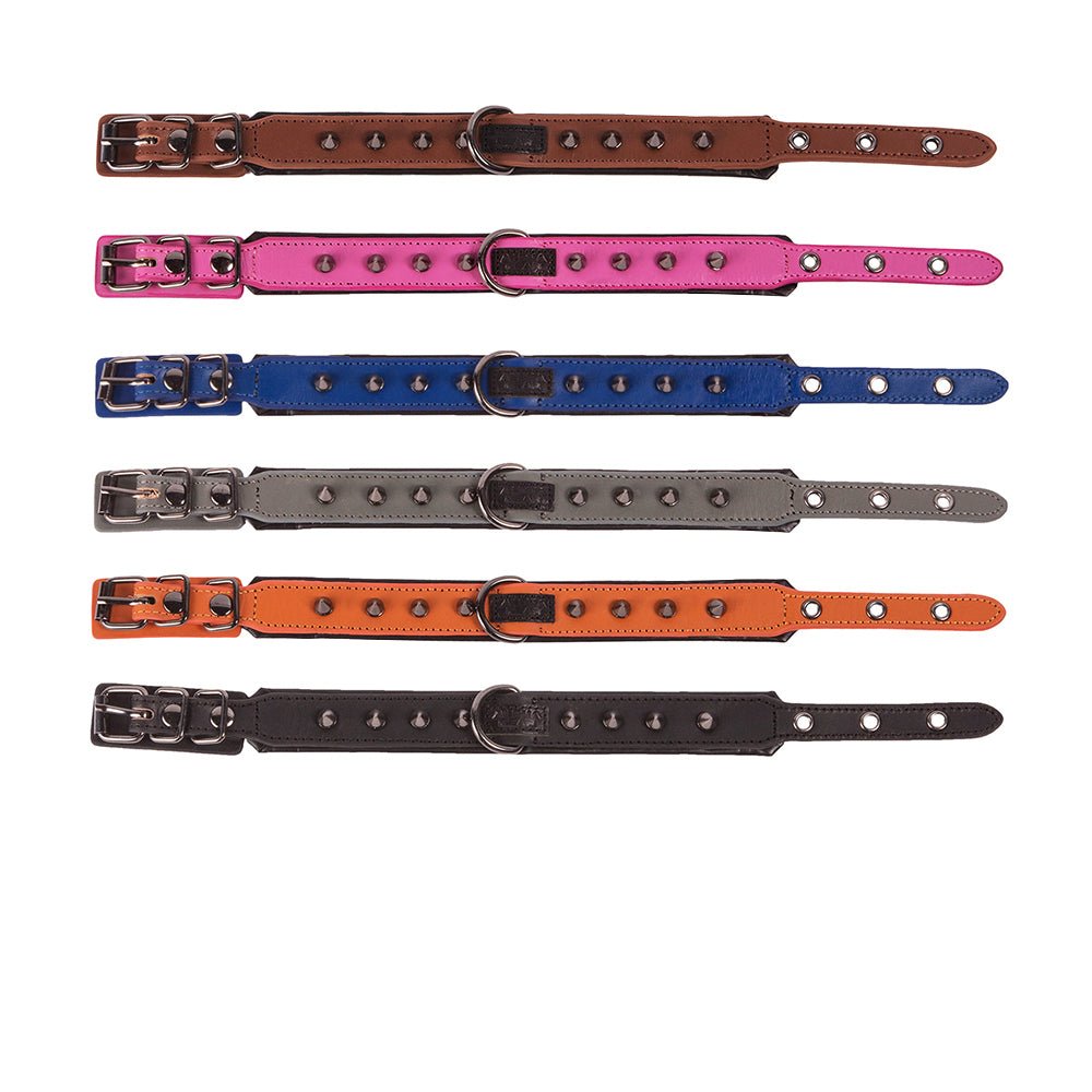 Leather Studded Dog Collar - XS - ALPHADOGDISTRIBUTION