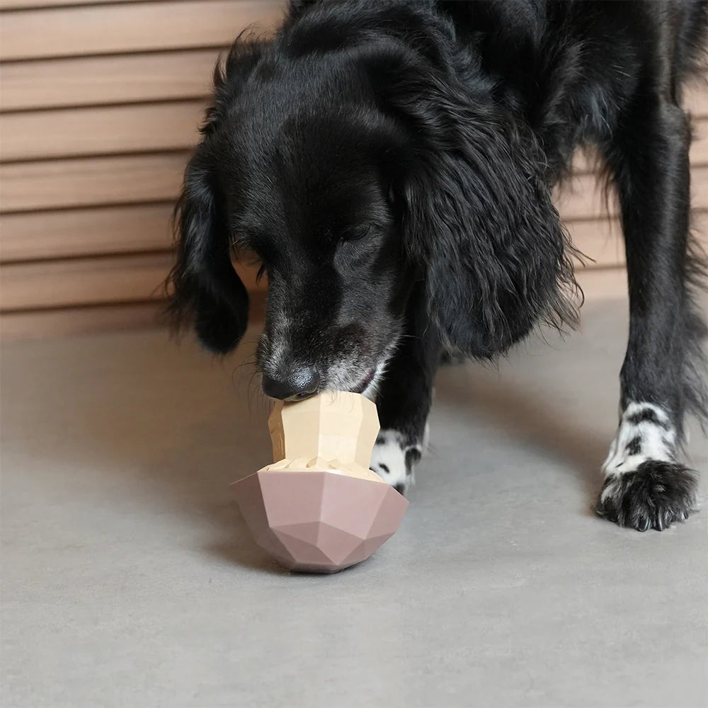 Mushroom Interactive Dog Toy - Alpha Dog Distribution