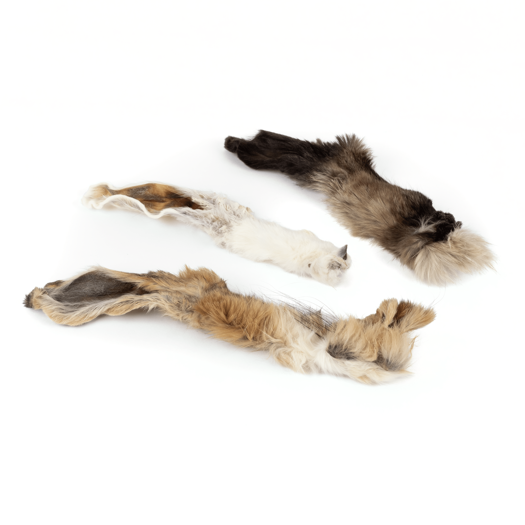 Rabbit Ears - Alpha Dog Distribution