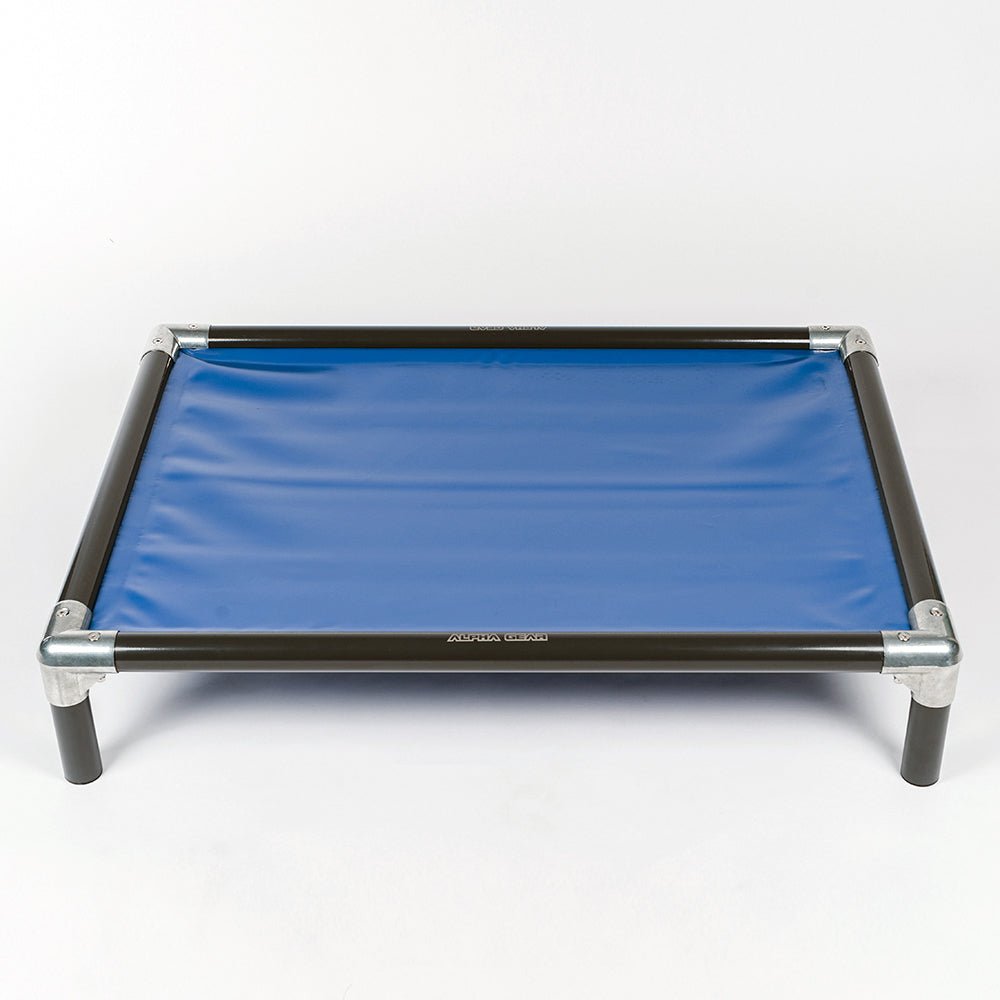 Raised Dog Bed for Large Dogs - ALPHADOGDISTRIBUTION