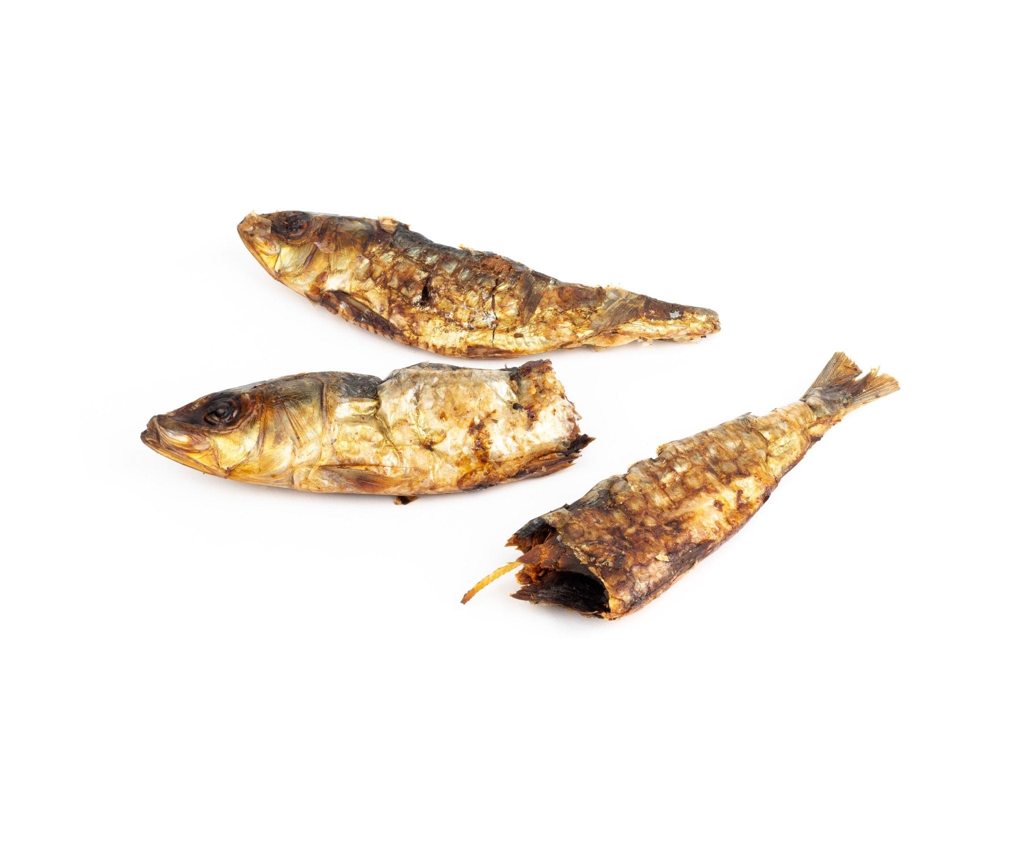 Sardines for Dogs (50g or more) - Alpha Dog Distribution