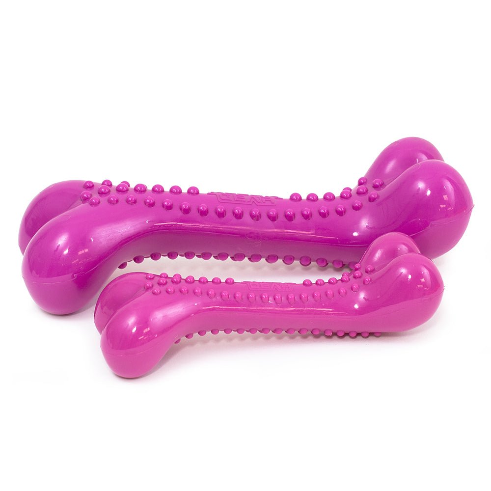 Small Nylon Dog Bone - ALPHADOGDISTRIBUTION