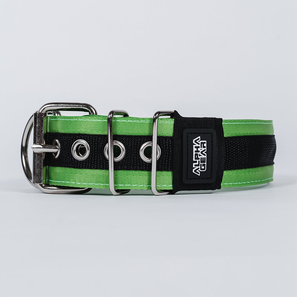 Nylon Dog Collar - Extra small / Small