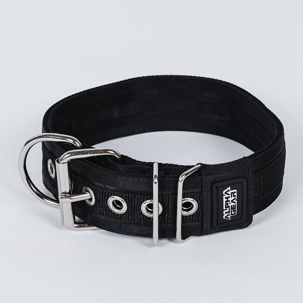 Nylon Dog Collar - Medium / Large